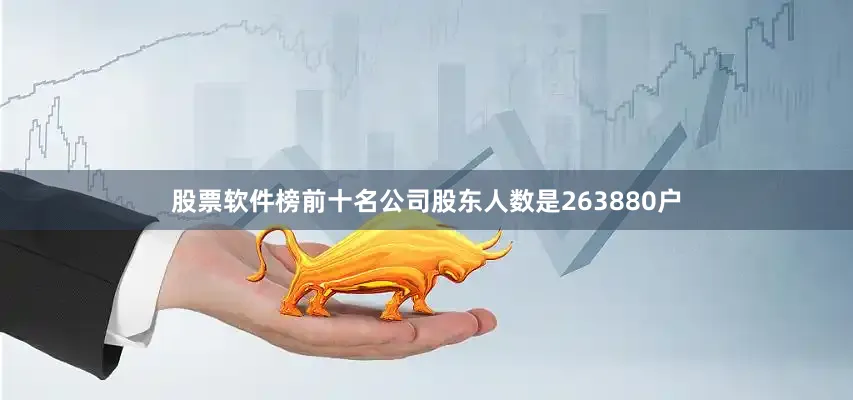 股票软件榜前十名公司股东人数是263880户