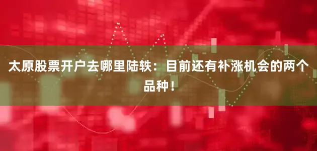 太原股票开户去哪里陆轶:目前还有补涨机会的两个品种!