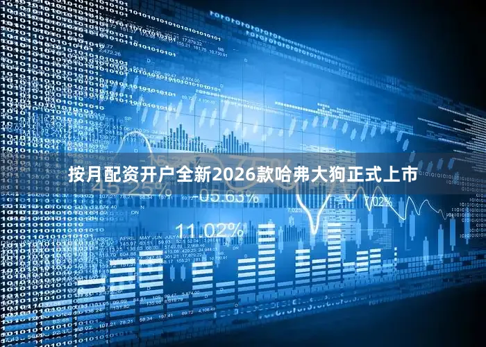 按月配资开户全新2026款哈弗大狗正式上市